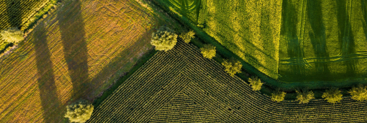 La transition de l'agriculture française est-elle possible&nbsp;?
